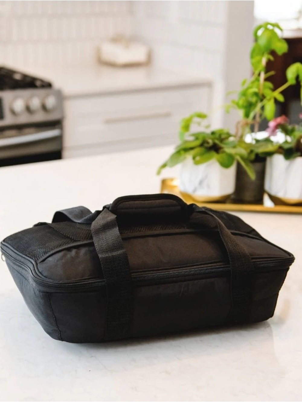HOT LOGIC MAX BLACK KITCHEN FOOD WARMER HOT PLATE BUFFET TRAVEL PORTABLE COOKER